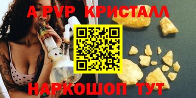 спиды Аргун
