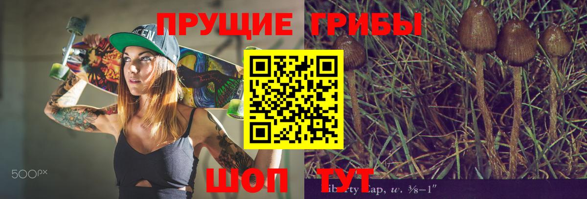 Белогорск  Псилоцибиновые грибы мицелий  Вход с VPN 